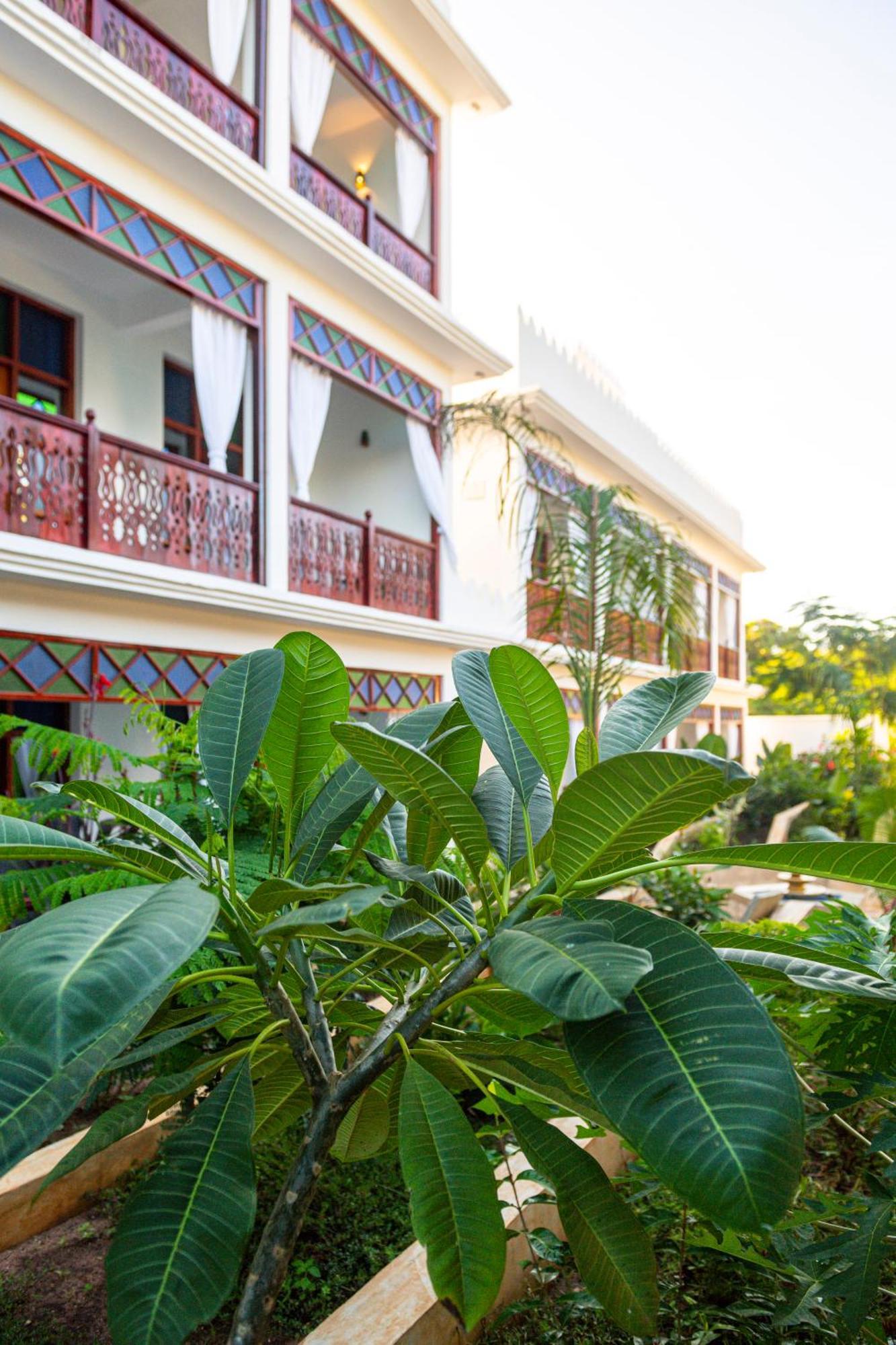 Tasneem Islamic Luxury Suites Jambiani  Exteriér fotografie